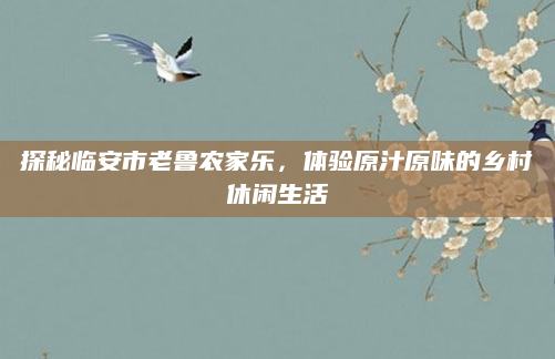 探秘临安市老鲁农家乐，体验原汁原味的乡村休闲生活