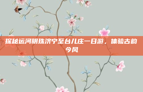 探秘运河明珠济宁至台儿庄一日游，体验古韵今风
