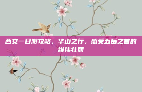 西安一日游攻略，华山之行，感受五岳之首的雄伟壮丽