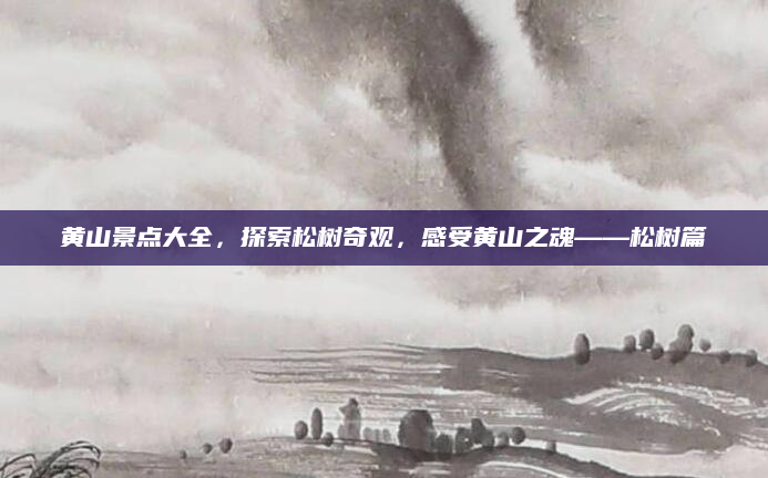 黄山景点大全，探索松树奇观，感受黄山之魂——松树篇