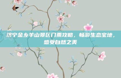 济宁金乡羊山景区门票攻略，畅游生态宝地，感受自然之美