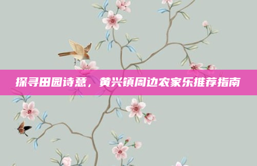 探寻田园诗意，黄兴镇周边农家乐推荐指南