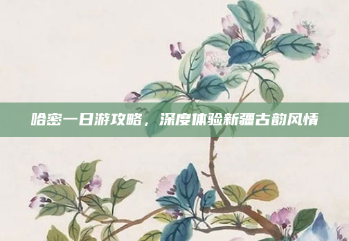 哈密一日游攻略，深度体验新疆古韵风情