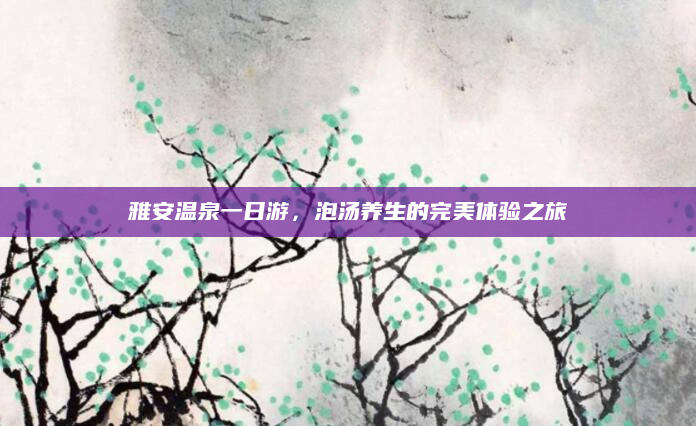 雅安温泉一日游，泡汤养生的完美体验之旅