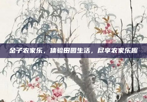 金子农家乐，体验田园生活，尽享农家乐趣