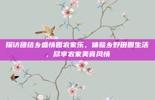 探访团结乡盛情园农家乐，体验乡野田园生活，尽享农家美食风情