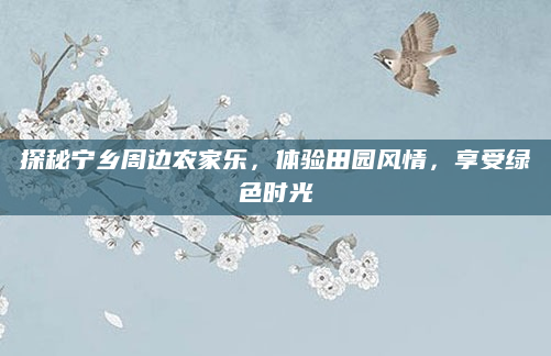 探秘宁乡周边农家乐，体验田园风情，享受绿色时光