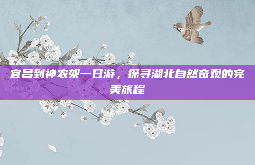 宜昌到神农架一日游,探寻湖北自然奇观的完美旅程