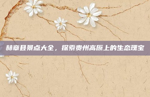 赫章县景点大全，探索贵州高原上的生态瑰宝