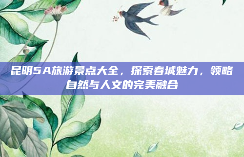 昆明5A旅游景点大全，探索春城魅力，领略自然与人文的完美融合