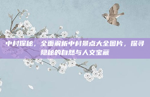 中村探秘，全面解析中村景点大全图片，探寻隐秘的自然与人文宝藏