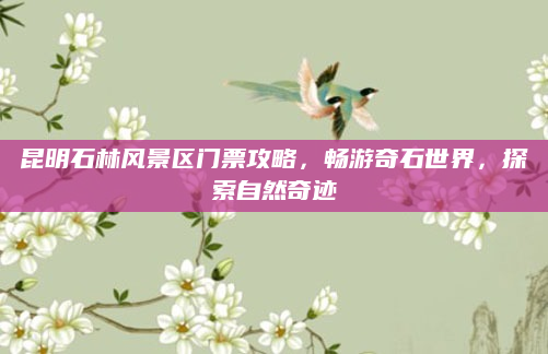 昆明石林风景区门票攻略，畅游奇石世界，探索自然奇迹