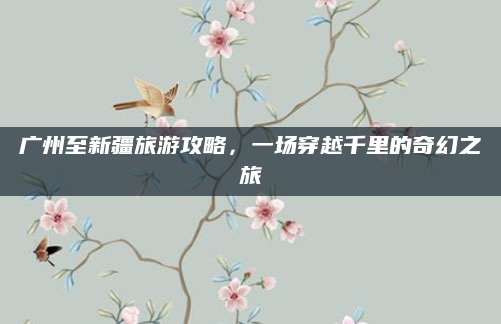 广州至新疆旅游攻略，一场穿越千里的奇幻之旅