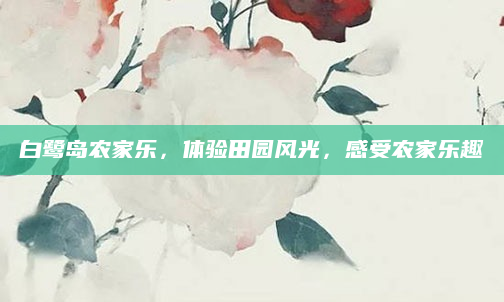 白鹭岛农家乐，体验田园风光，感受农家乐趣