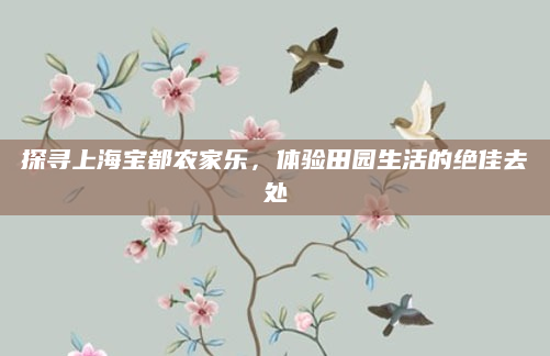 探寻上海宝都农家乐，体验田园生活的绝佳去处