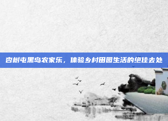 杏树屯黑岛农家乐，体验乡村田园生活的绝佳去处