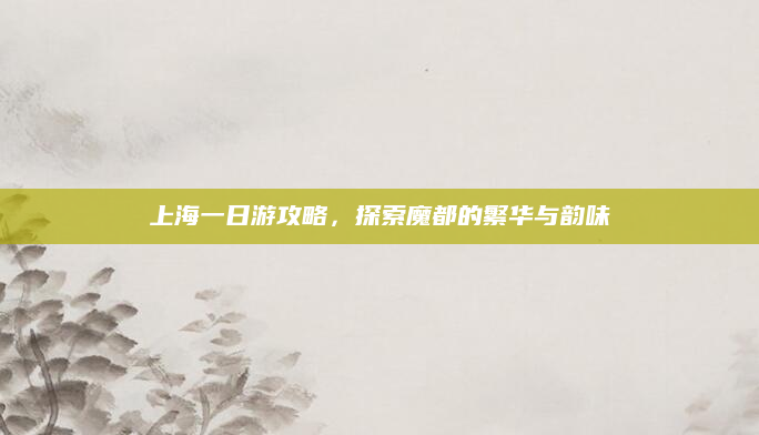 上海一日游攻略，探索魔都的繁华与韵味