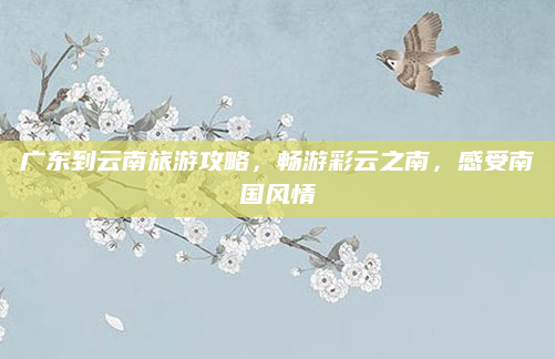 广东到云南旅游攻略，畅游彩云之南，感受南国风情