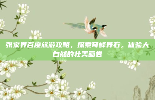 张家界百度旅游攻略，探索奇峰异石，体验大自然的壮美画卷