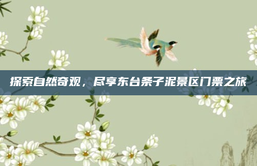 探索自然奇观，尽享东台条子泥景区门票之旅