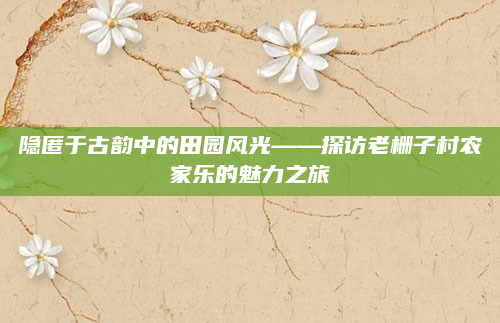 隐匿于古韵中的田园风光——探访老栅子村农家乐的魅力之旅