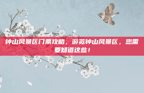 钟山风景区门票攻略，游览钟山风景区，您需要知道这些！