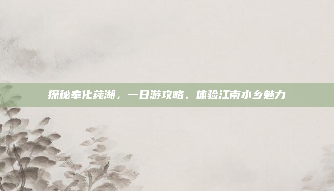 探秘奉化莼湖，一日游攻略，体验江南水乡魅力