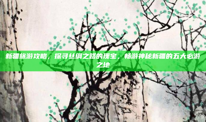 新疆旅游攻略，探寻丝绸之路的瑰宝，畅游神秘新疆的五大必游之地