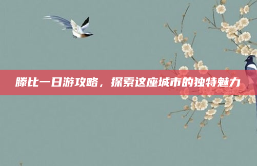 滕比一日游攻略，探索这座城市的独特魅力