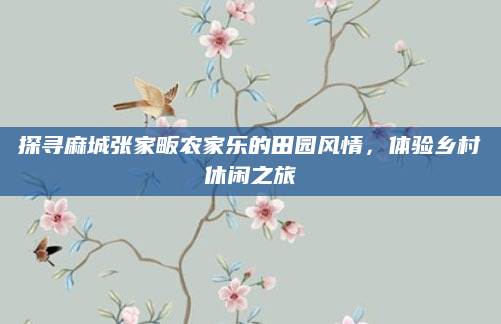 探寻麻城张家畈农家乐的田园风情，体验乡村休闲之旅