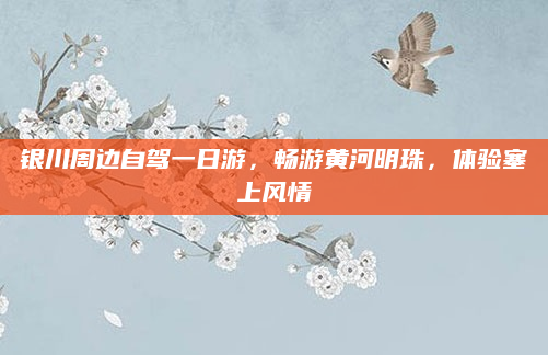 银川周边自驾一日游,畅游黄河明珠,体验塞上风情