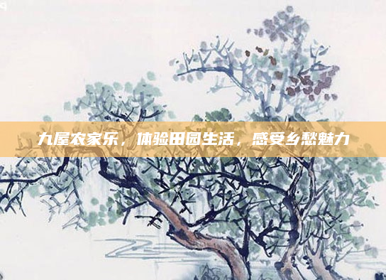九屋农家乐，体验田园生活，感受乡愁魅力