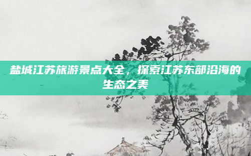 盐城江苏旅游景点大全，探索江苏东部沿海的生态之美