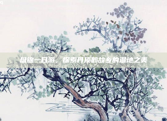 盘锦一日游，探索丹顶鹤故乡的湿地之美