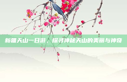 新疆天山一日游，探寻神秘天山的美丽与神奇