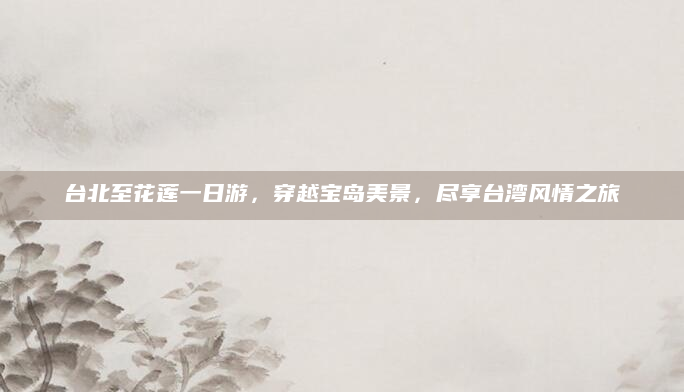 台北至花莲一日游，穿越宝岛美景，尽享台湾风情之旅