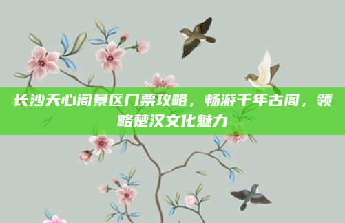 长沙天心阁景区门票攻略，畅游千年古阁，领略楚汉文化魅力