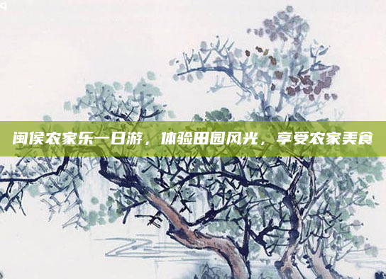闽侯农家乐一日游,体验田园风光,享受农家美食