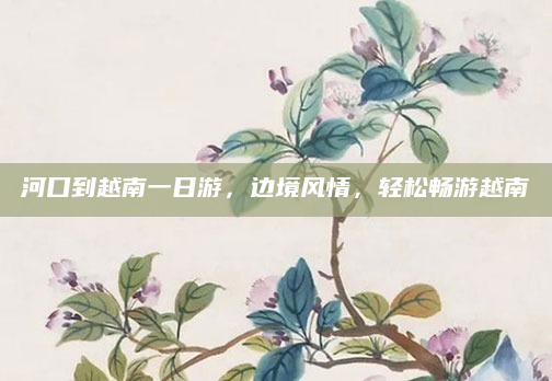 河口到越南一日游，边境风情，轻松畅游越南