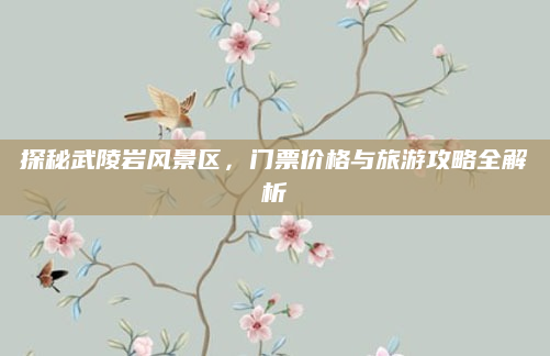 探秘武陵岩风景区，门票价格与旅游攻略全解析