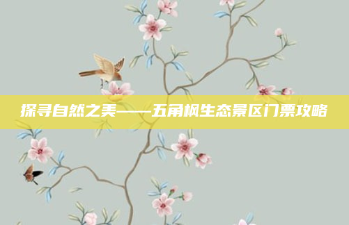 探寻自然之美——五角枫生态景区门票攻略