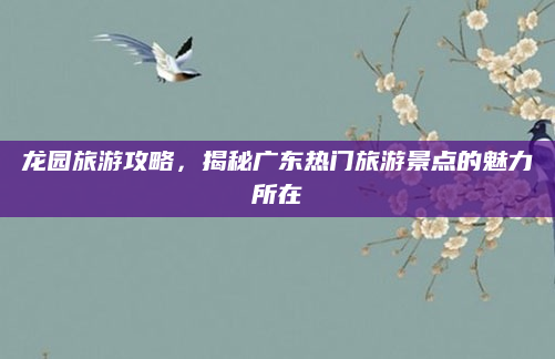 龙园旅游攻略，揭秘广东热门旅游景点的魅力所在