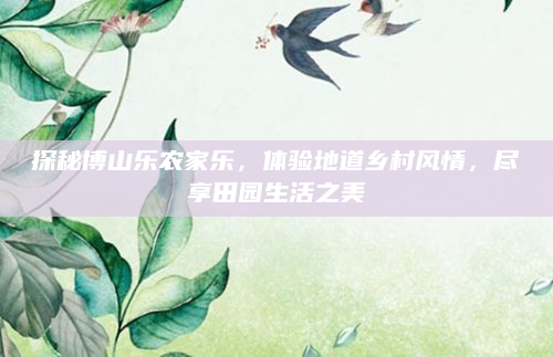 探秘博山乐农家乐，体验地道乡村风情，尽享田园生活之美