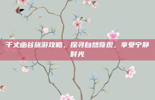 千丈幽谷旅游攻略，探寻自然奇观，享受宁静时光