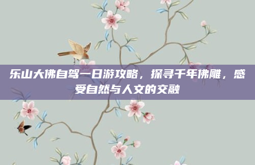 乐山大佛自驾一日游攻略，探寻千年佛雕，感受自然与人文的交融