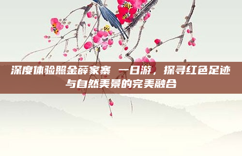深度体验照金薛家寨 一日游，探寻红色足迹与自然美景的完美融合