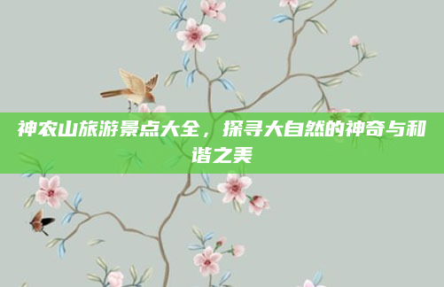 神农山旅游景点大全，探寻大自然的神奇与和谐之美