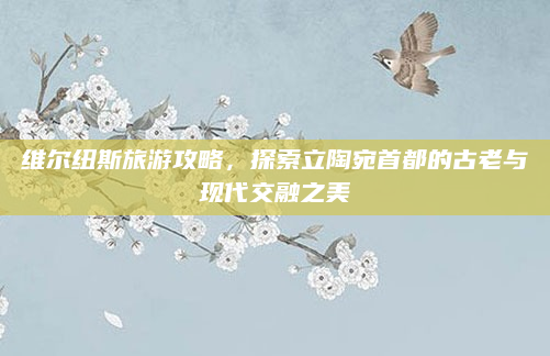 维尔纽斯旅游攻略，探索立陶宛首都的古老与现代交融之美