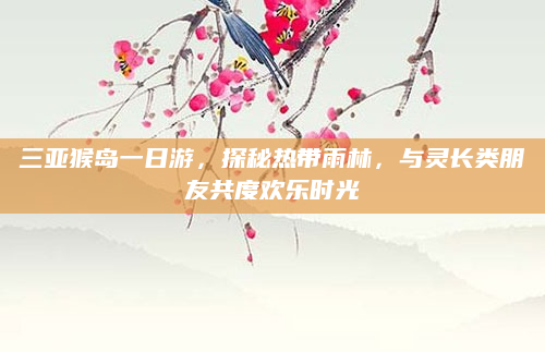 三亚猴岛一日游,探秘热带雨林,与灵长类朋友共度欢乐时光