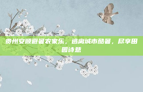 贵州安顺避暑农家乐,逃离城市酷暑,尽享田园诗意